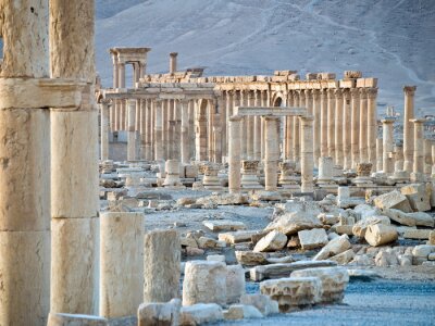 Bild Architektur und Sonnenuntergang in Palmyra