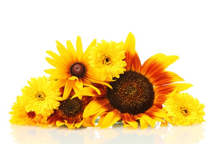 Bild Armvoll farbenfroher Blumen