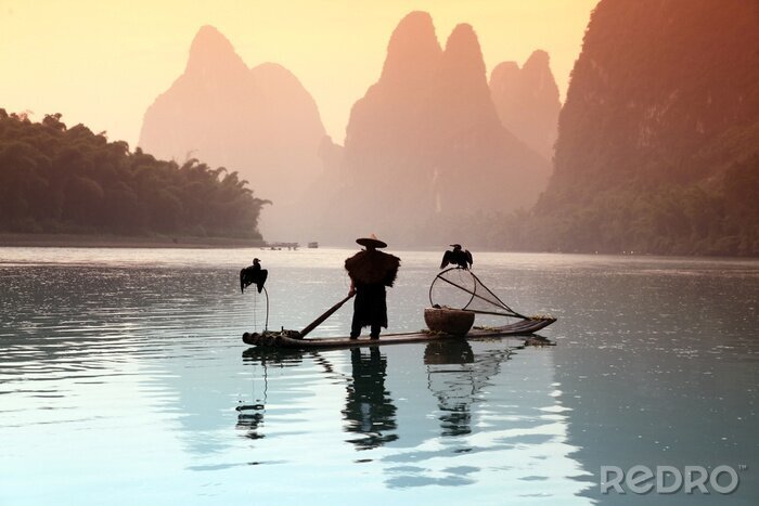 Bild Asiatischer Fischer mit Kormoranen