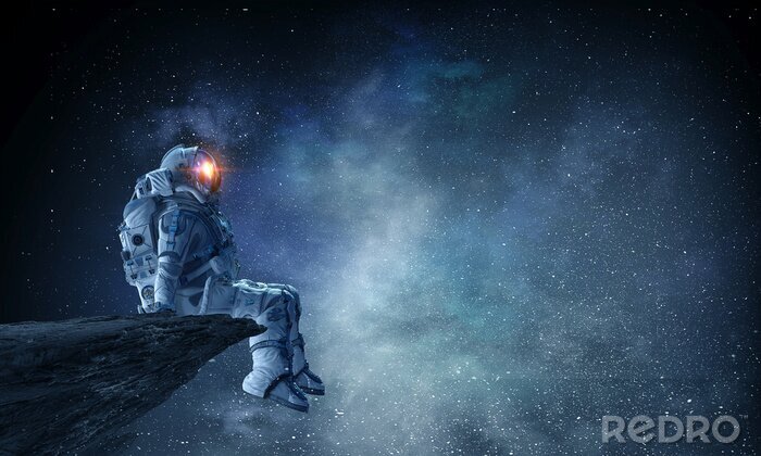 Bild Astronaut am Felsen