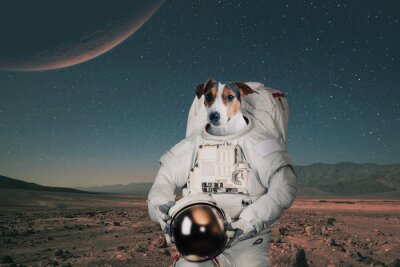Astronautenhund auf einem unbekannten Planeten