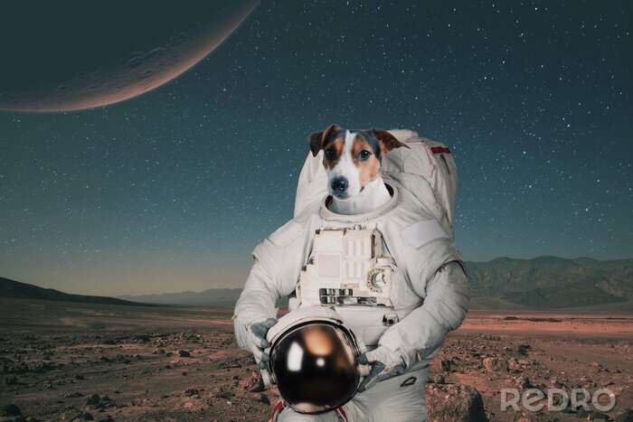Bild Astronautenhund auf einem unbekannten Planeten
