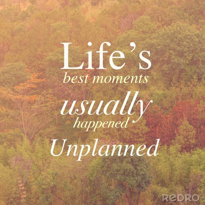 Bild Aufschrift über das Leben auf einem Hintergrund von Bäumen