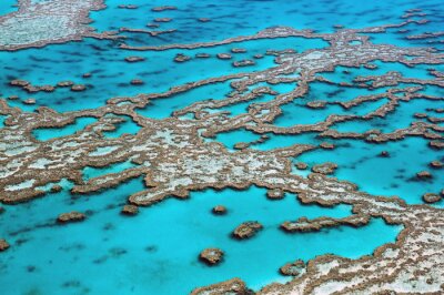 Bild Australien Landschaften des Korallenriffs