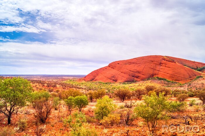 Bild Australien Outback