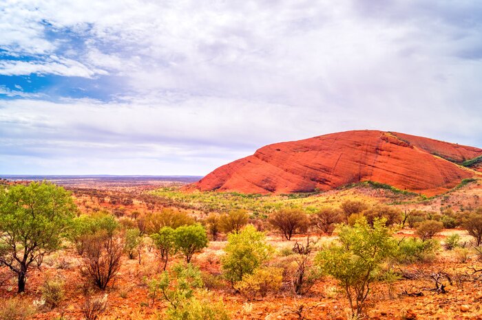 Bild Australien Outback