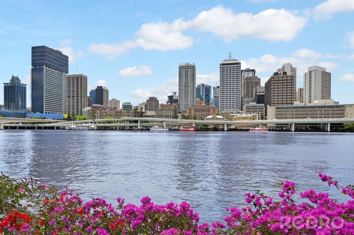 Bild Australien-Panorama des modernen Teils von Brisbane