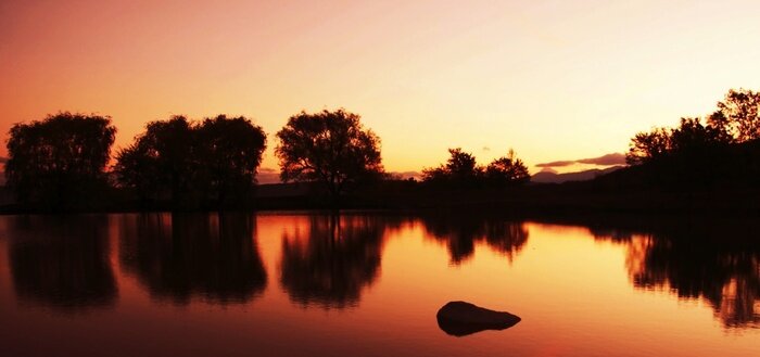 Bild Bäume an kleinem See