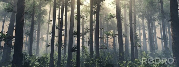 Bild Bäume im Nebel.  Der Rauch im Wald am Morgen.  Ein nebliger Morgen zwischen den Bäumen.  3D-Rendering