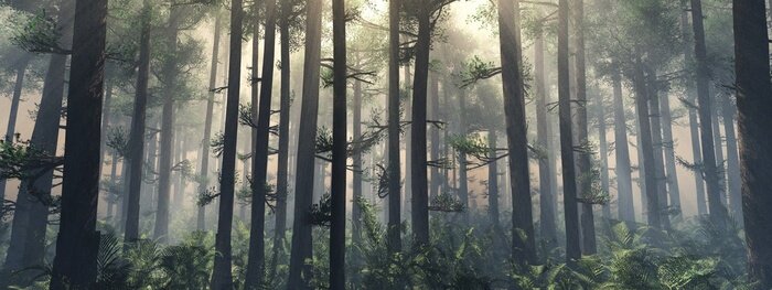 Bild Bäume im Nebel.  Der Rauch im Wald am Morgen.  Ein nebliger Morgen zwischen den Bäumen.  3D-Rendering