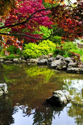 Bild Bäume im Zen-Garten