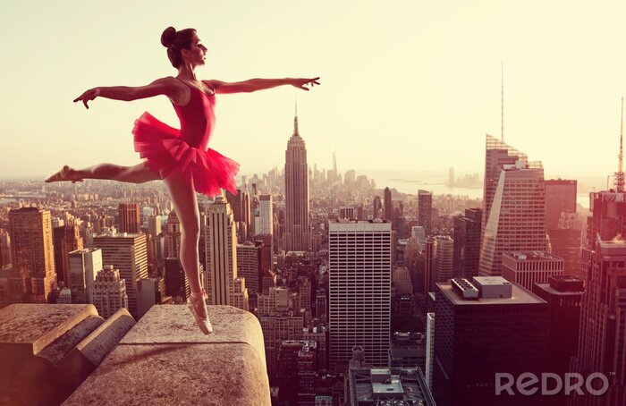 Bild Ballerina und Panorama von New York