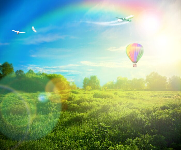 Bild Ballon über einer Lichtung