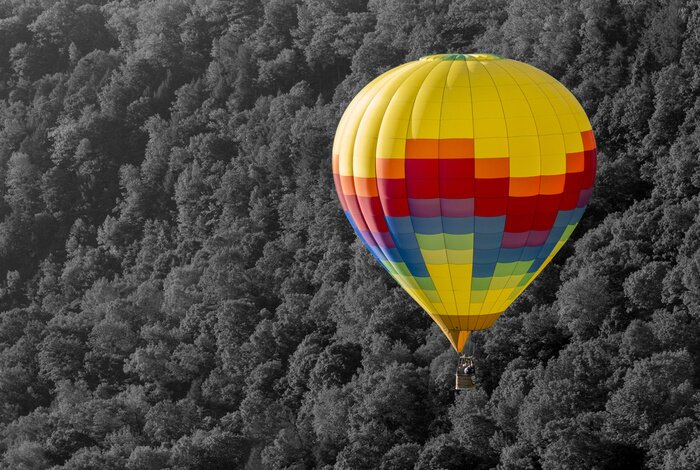 Bild Ballon vor einem Hintergrund aus schwarz-weißen Bäumen