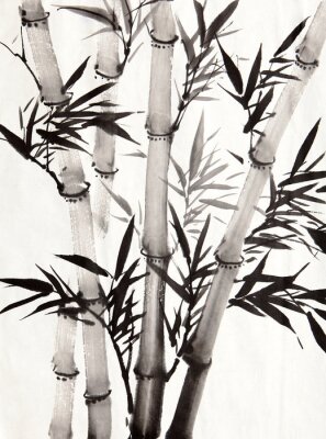 Bambus mit ausdrucksstarken schwarzen Blättern