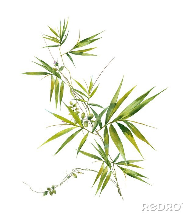 Bild Bambus Motiv illustriert