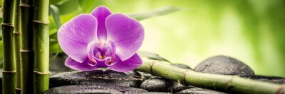 Bild Bambus, Orchidee und Steine