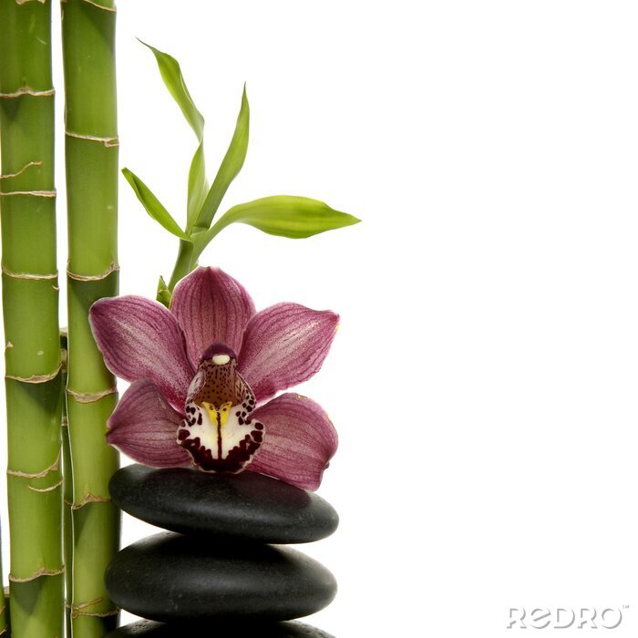 Bild Bambus, Steine und Orchidee