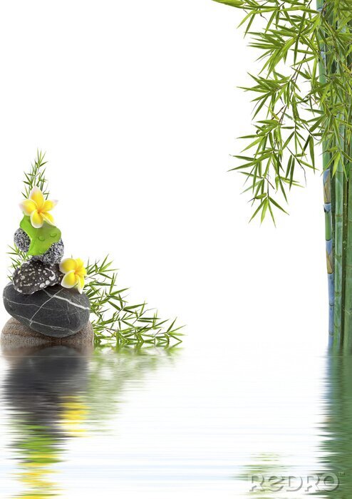 Bild Bambus Wasser und Steine