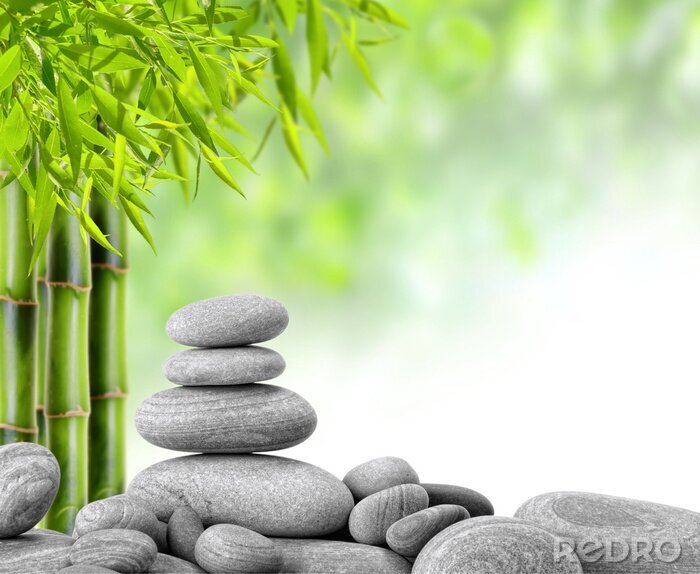 Bild Bambusse Blätter und graue Steine
