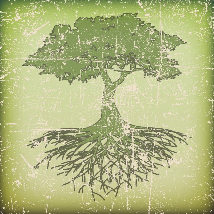 Bild Baum mit Wurzeln