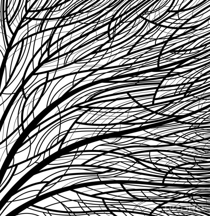 Bild Baum schwarz-weiß