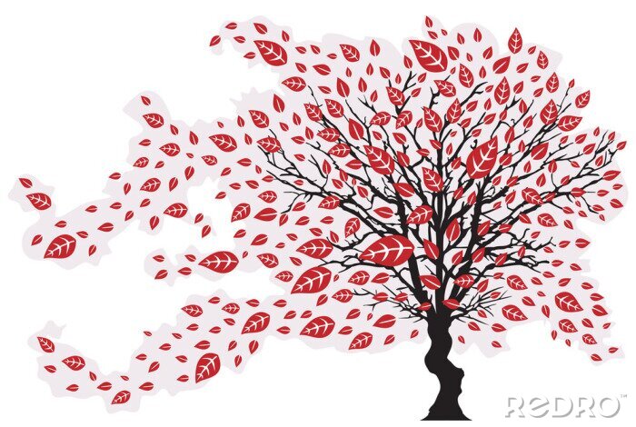 Bild Baum und Blätter - Wind und Sturm