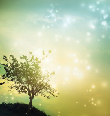 Baum und Sterne