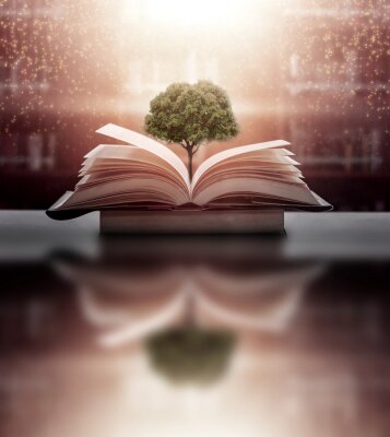Baum wächst aus einem Buch