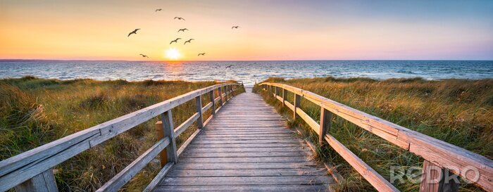 Bild Beautiful dunes beach at sunset, North Sea, Germany