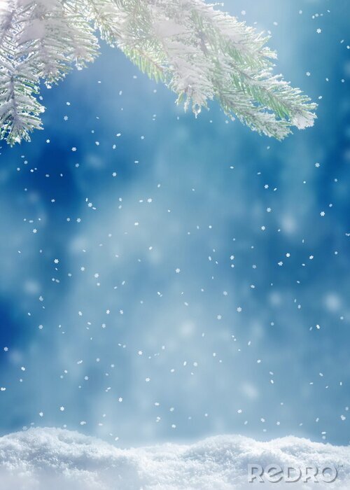 Bild Beautiful snowy winter landscape with a snowy fir branch, snowflakes and blue sky. Winter christmas background.