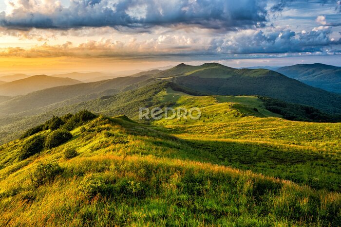 Bild Beautiful summer mountain landscape. Green meadow and the blue sky. Polonina Wetlinska, Bieszczady, Carpathians, Poland.