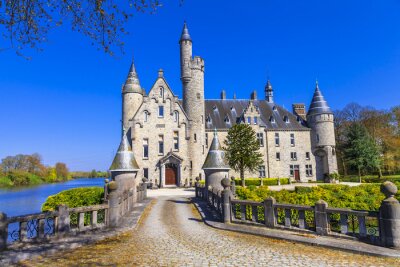 Bild Belgisches Schloss