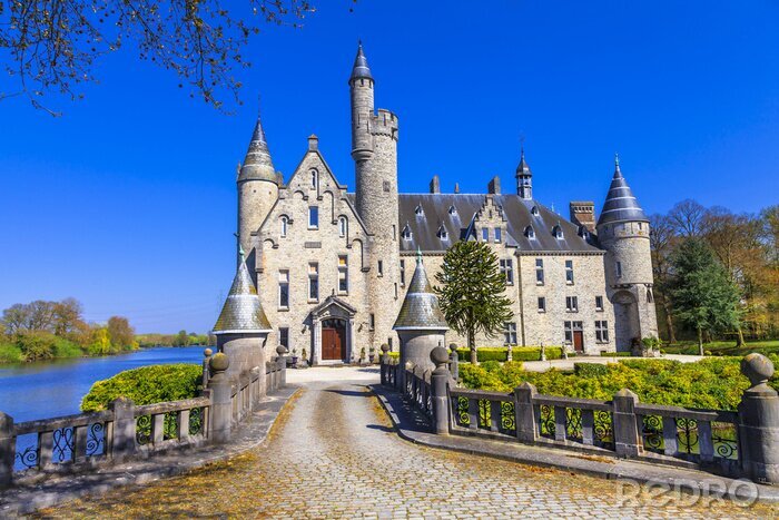 Bild Belgisches Schloss