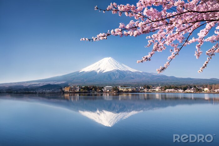 Bild Berg Fuji und Kirchenblüten