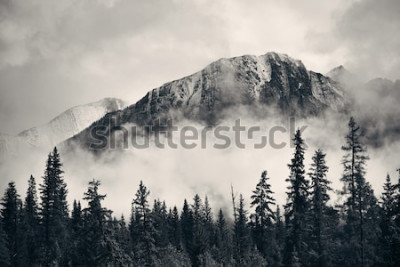 Bild Berge im Nebel