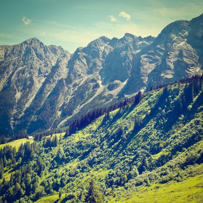 Bild Berge in Deutschland im Sommer