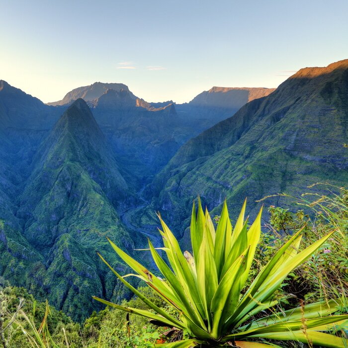 Bild Berge und tropische Vegetation