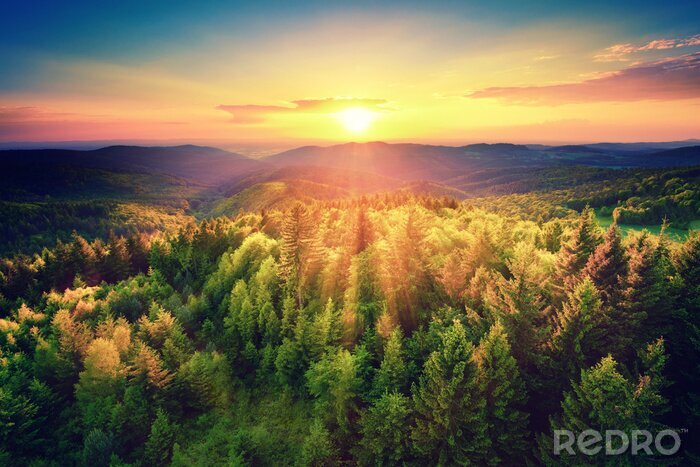 Bild Berge Wald und Sonnenuntergang