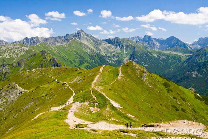 Bild Berglandschaft der polnischen Tatra