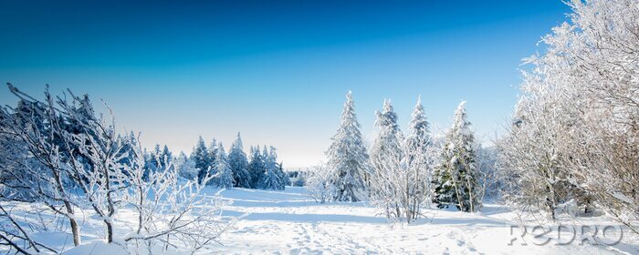Bild Berglandschaft im Winter