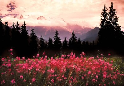Bild Berglandschaft mit Blumen