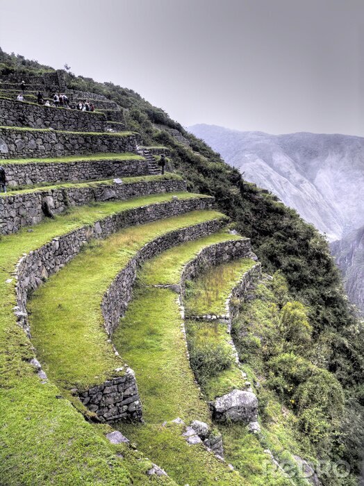 Bild Bergterrassen auf Machu Picchu