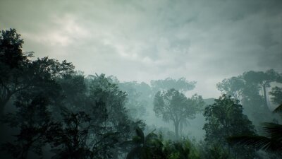 Bewölkter Himmel über dem Dschungel