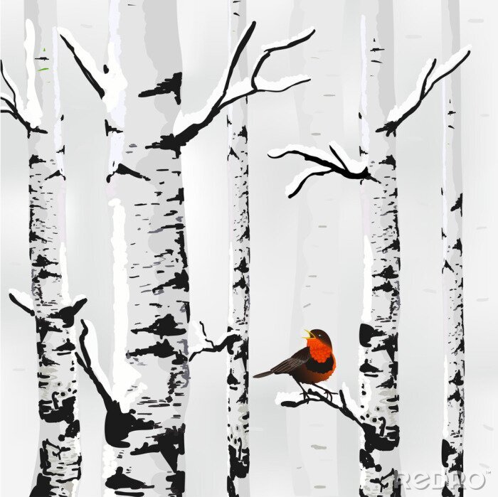 Bild Birke im Schnee und Vögelchen