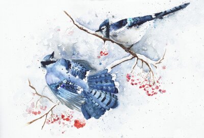 Bild Blaue Aquarell-Vögel