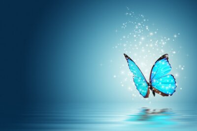 Blauer Schmetterling über einer Wasserfläche