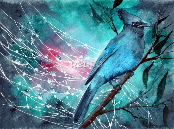 Bild Blauer Vogel und Tautropfen