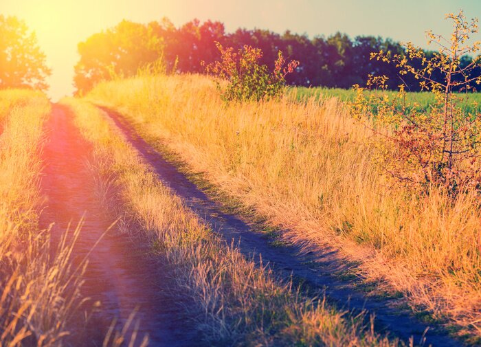 Bild Blick auf Feldweg