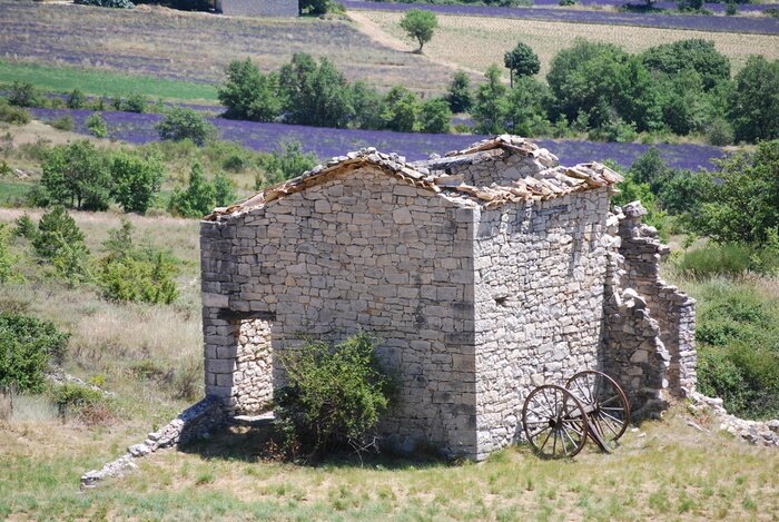 Bild Blick auf Gebäuderuinen